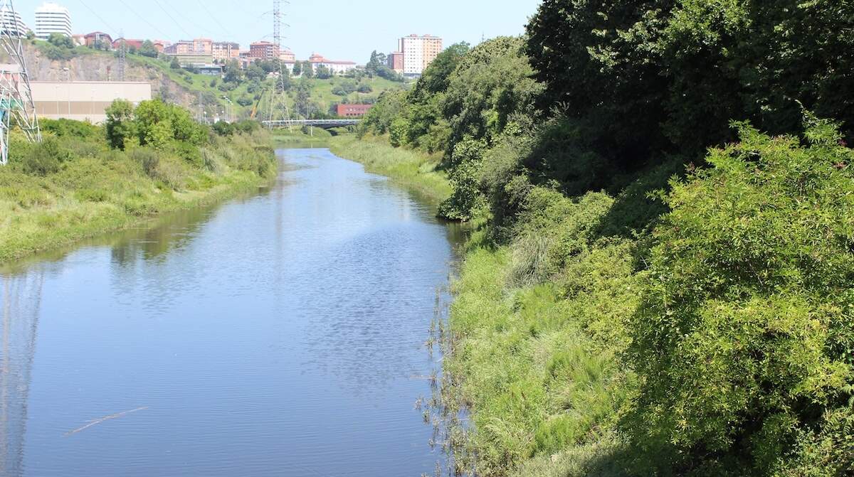 Barakaldoko naturguneak indartzeko planak herritarrentzat zabalik · enbarakaldo.com